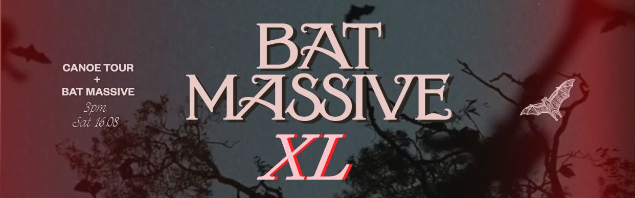 BAT MASSIVE XL: Guided Tour
