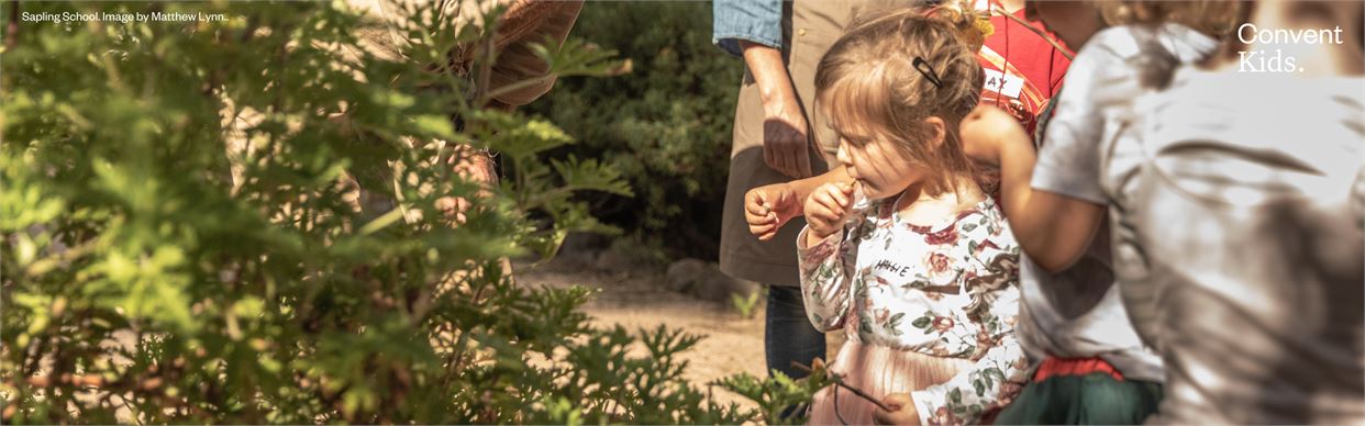 Convent Kids: Bubup Bush Tucker