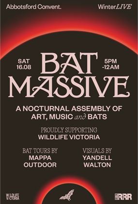 BAT MASSIVE
